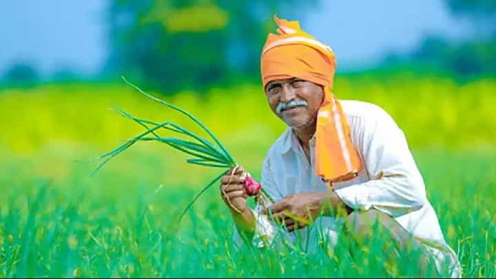 NAMO Shetkari Yojana : राज्यातील शेतकऱ्यांना दिलासा, शेतकऱ्याला सरकारकडून मिळणार 'इतके' रूपये NAMO Shetkari Yojana : राज्यातील शेतकऱ्यांना दिलासा, शेतकऱ्याला सरकारकडून मिळणार 'इतके' रूपये