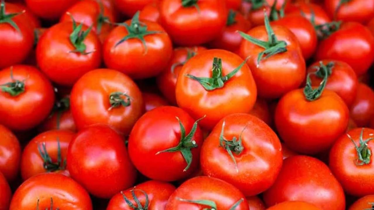 Tomato Price : टोमॅटोची दरवाढ, किंमती पुन्हा सूसाट
