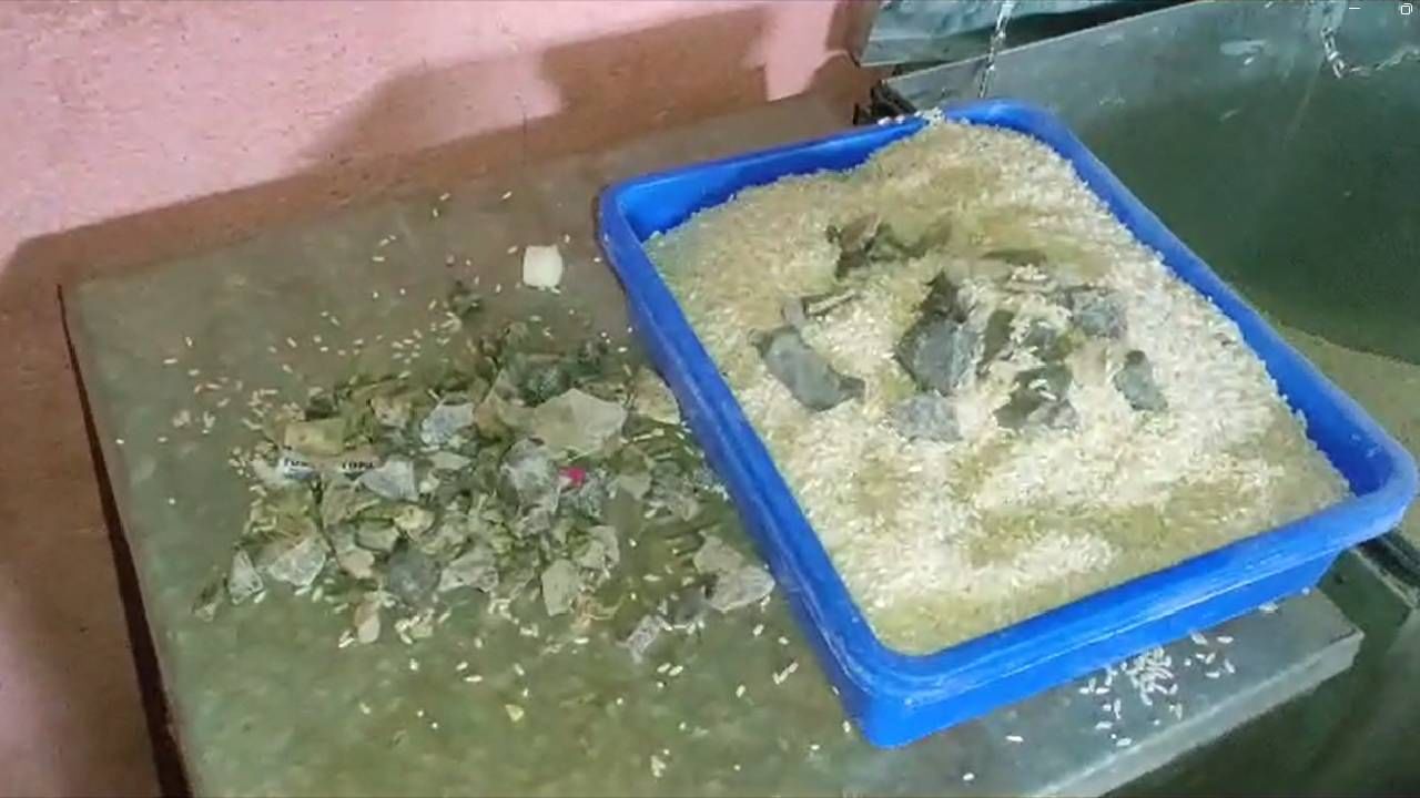 NANDURBAR / NDB ZP SCHOOL FOOD