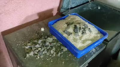 विद्यार्थ्यांच्या पोषण आहारात सापडले दगड, शिक्षणाधिकारी म्हणाले...