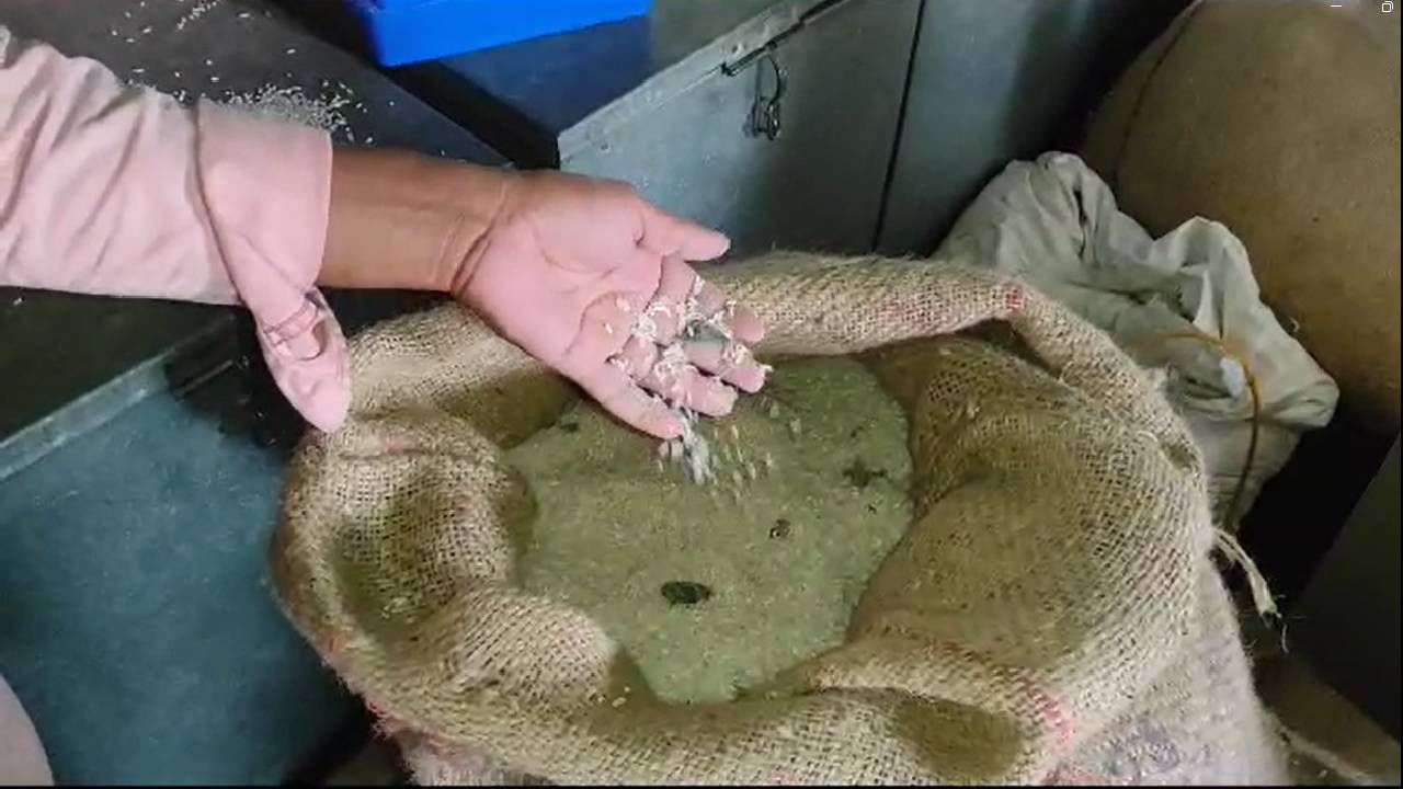 NANDURBAR / NDB ZP SCHOOL FOOD