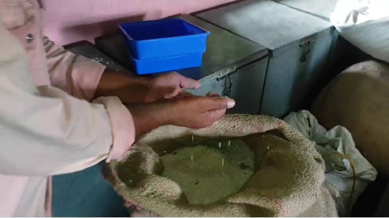 NANDURBAR / NDB ZP SCHOOL FOOD