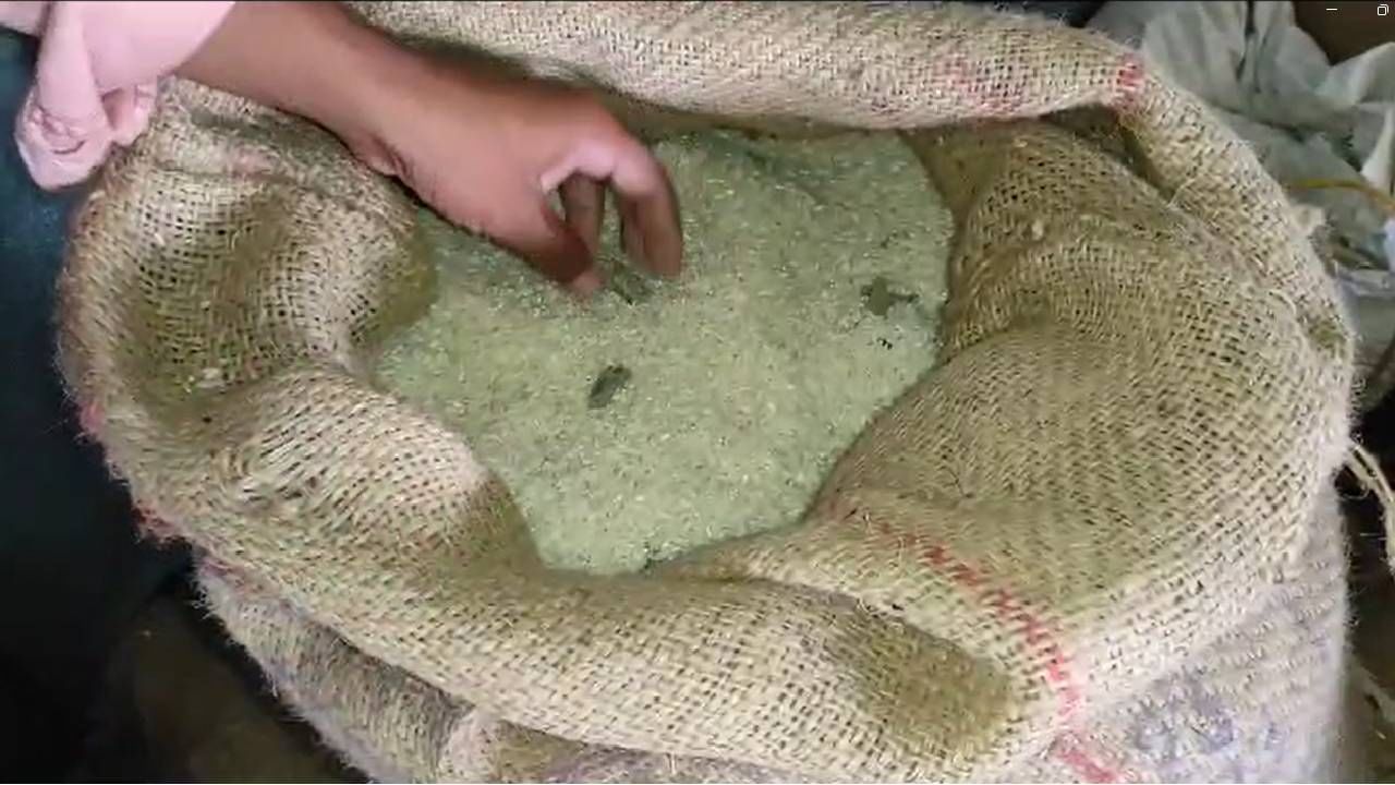 NANDURBAR / NDB ZP SCHOOL FOOD