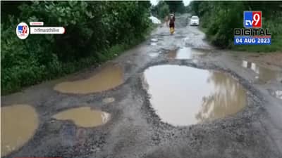 गोंदियातील हरदोली-मांडोदेवी रस्त्याची झाली चाळण, नागरिकांना मनस्ताप; बघा दयनीय अवस्था