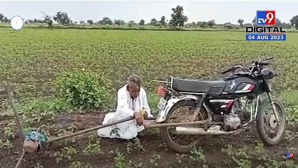 अवघ्या साडेतीनशे रुपयात देशी जुगाड, शेतकऱ्यानं बनवलेलं वखरणी यंत्र तुम्ही पाहिलंत का?
