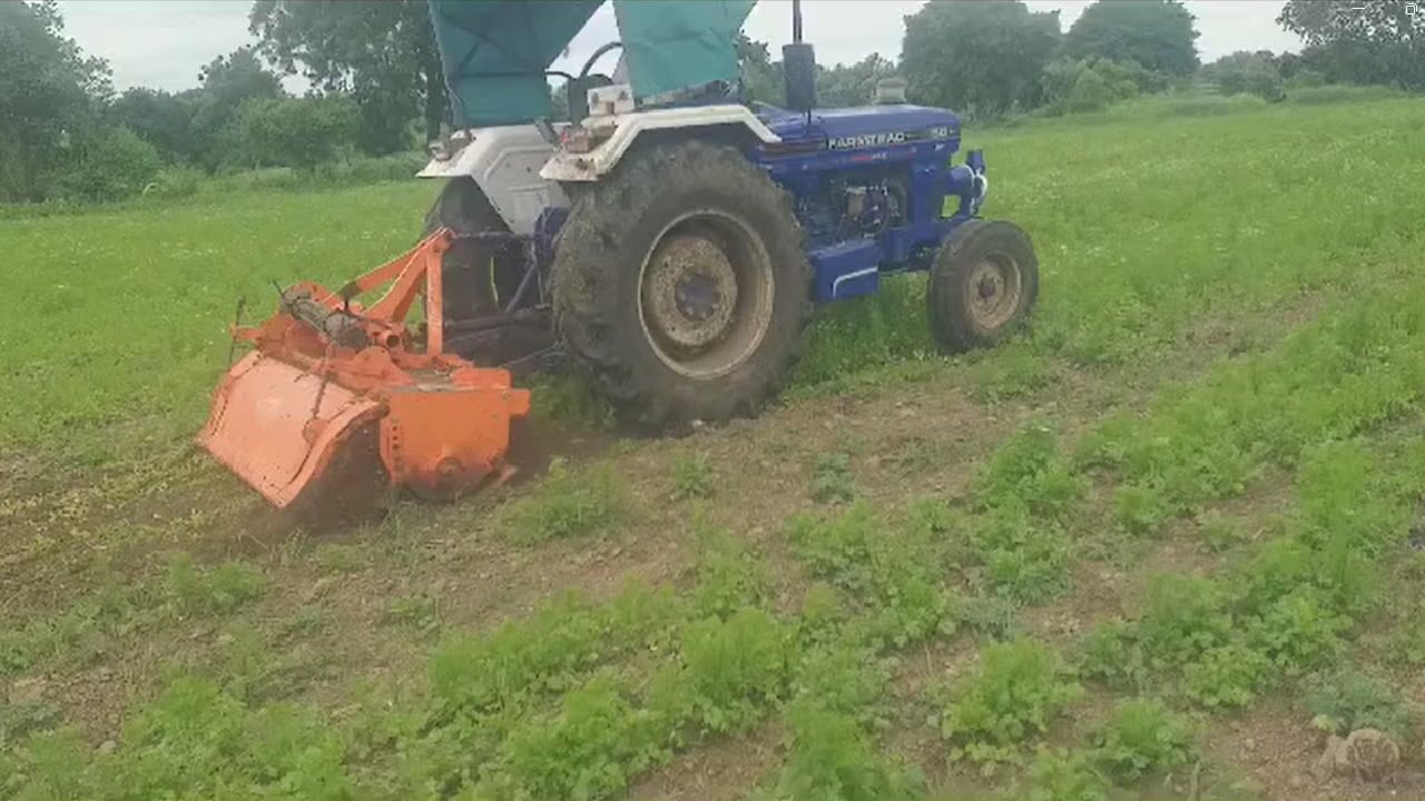 मागच्या काही दिवसांपासून कोथिंबिरीला लागवड आणि वाहतुकीचा खर्च निघेल इतकाही भाव मिळत नाही. 