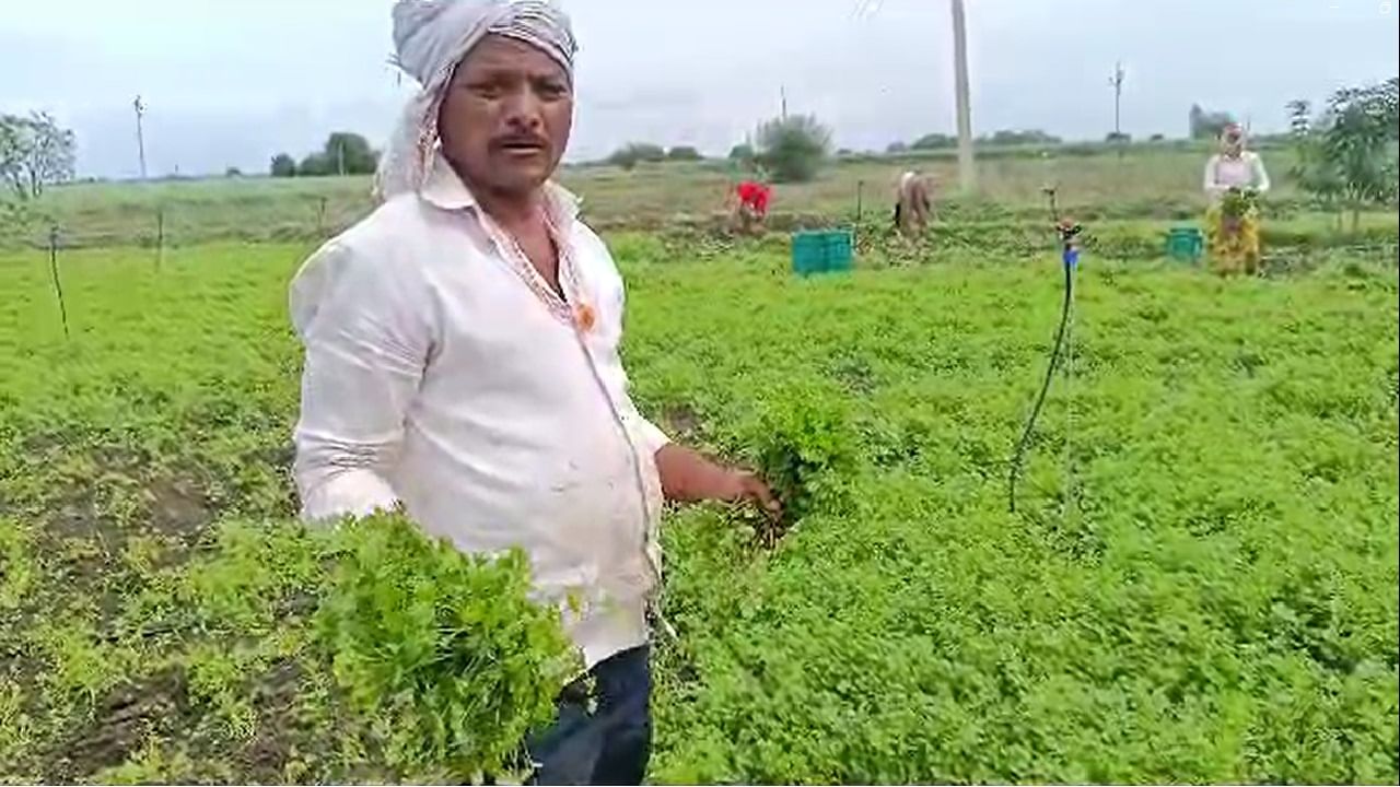 Farmer News : शेतकऱ्यांसाठी आनंदाची बातमी, सरकारने घेतला शेतकऱ्यांच्या हिताचा निर्णय