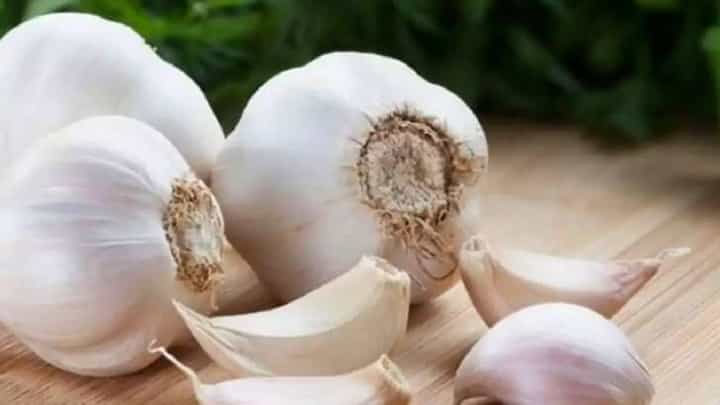 टोमॅटोनंतर लसूणचे दर 200 रुपये किलो; मुसळधार पावसाचा भाजीपाल्याला फटका! टोमॅटोनंतर लसूणचे दर 200 रुपये किलो; मुसळधार पावसाचा भाजीपाल्याला फटका!