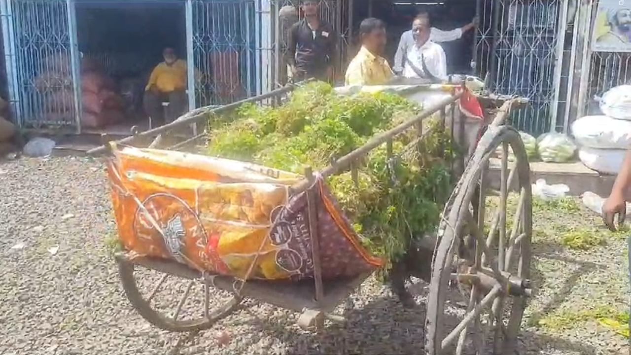 कोथिंबिरीला भाव न मिळाल्यामुळे संतप्त युवा शेतकऱ्याने कोथिंबीर रस्त्यावर फेकली. 