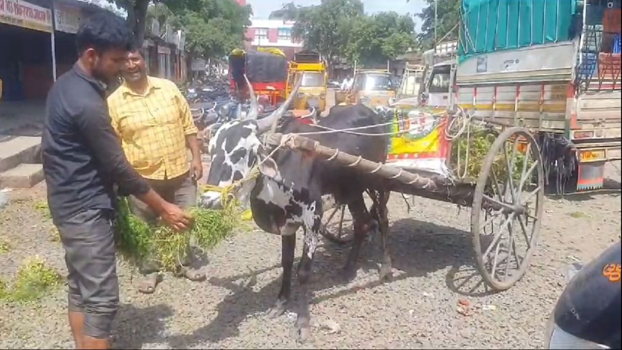 बीड जिल्ह्यातील नेकनूर तालुक्यातल्या वैभव शिंदे असे त्या शेतकऱ्याचं नाव आहे. 