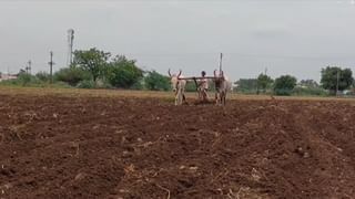 शेतकऱ्यांची फसवणूक करणाऱ्या सेतू सुविधा केंद्र चालकाची होणार चौकशी, परस्पर पीकविमा काढल्यामुळे शेतकरी संतप्त