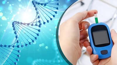 मधुमेहाच्या रुग्णांसाठी खूशखबर, दहा सेकंदात बनेल इंसुलीन, वाचा असं कसं होईल?