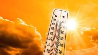 माणूस किती अंश तापमान सहन करू शकतो?, एवढे तापमान झाले की निघतो घाम