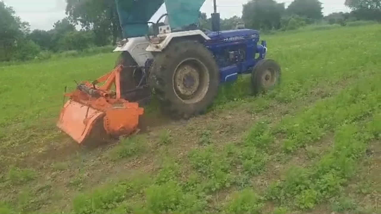 शेतकऱ्याची व्यथा, भाव घसरल्याने एक एकरावरील कोथिंबीरीवर शेतकऱ्याने काय केलं पाहा....