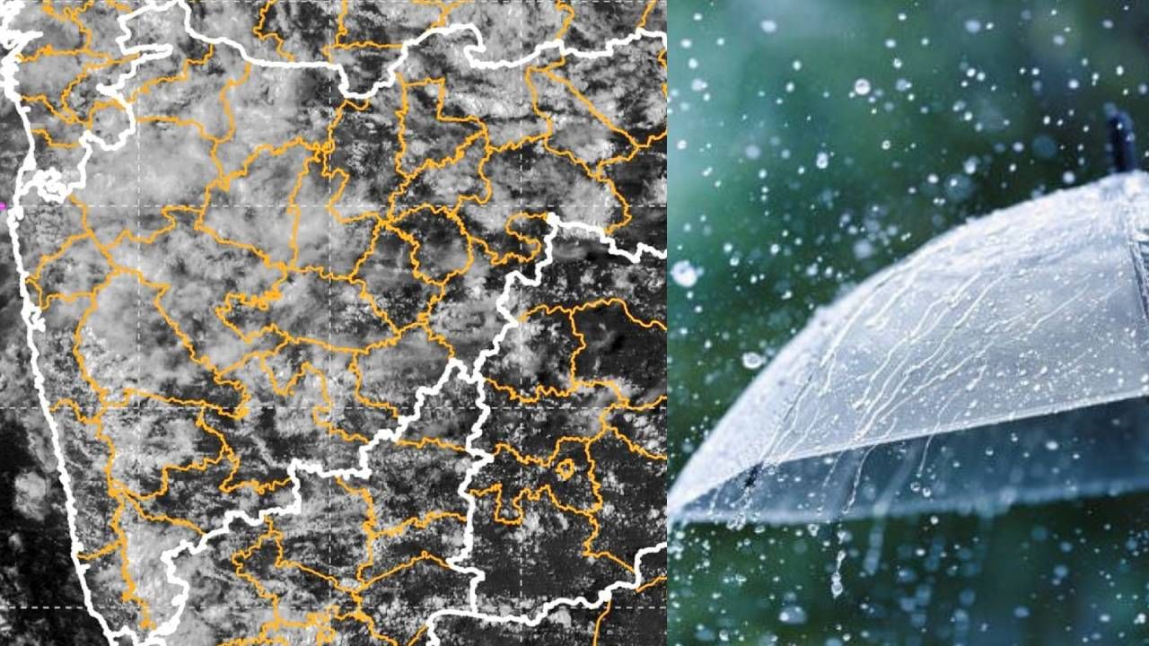 Rain : राज्यात कसा असणार पाऊस, कोणत्या जिल्ह्यांना यलो अलर्ट