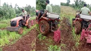 Farmer Success Story : या पिकाने शेतकऱ्याला केलं मालामाल, खर्च कमी उत्पन्न अधिक, आदर्श शेतकरी…