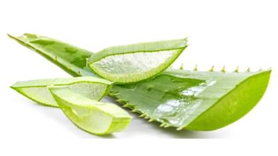 Aloe Vera ने घरच्या घरीच फेशियल कसं करतात? ही आहे प्रोसेस