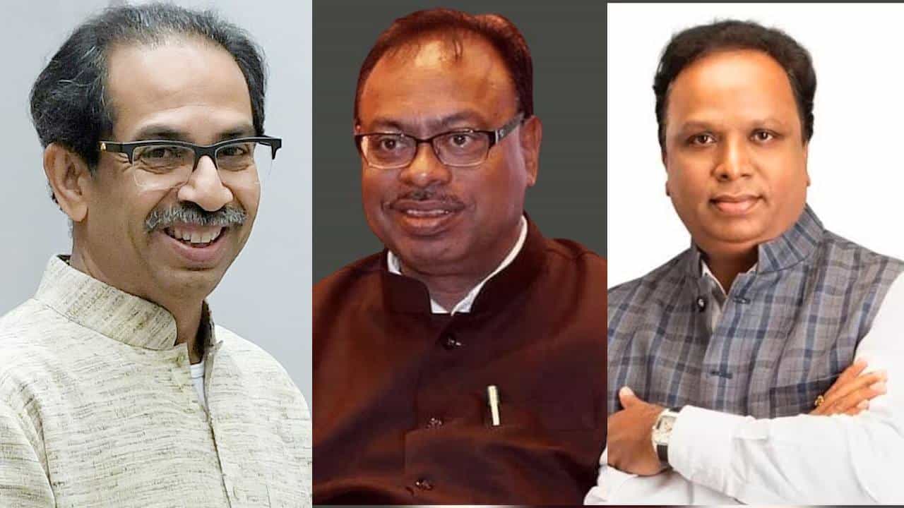 तुम्ही कोण? आमचे मामा की काका?; आशिष शेलार यांचा उद्धव ठाकरे यांना सवाल