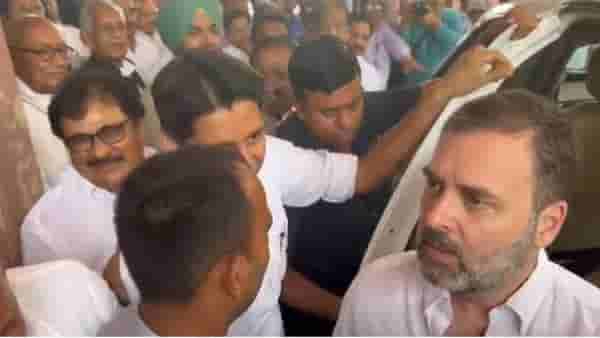 खासदारकी बहाल होताच राहुल गांधी पुन्हा संसदेत; इंडिया आघाडीच्या खासदारांकडून जंगी स्वागत