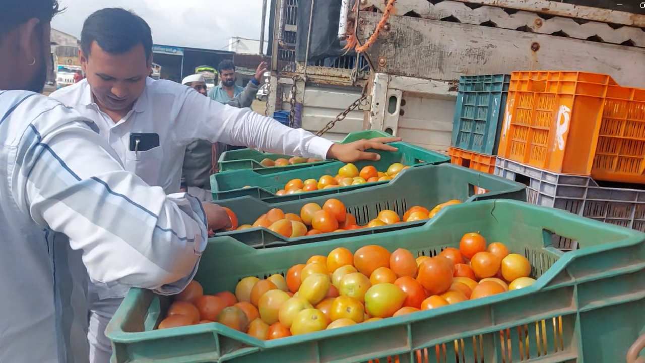 टोमॅटोचा हब असलेल्या नारायणगाव बाजार समितीत टोमॅटोच्या 20 किलोच्या कॅरेटला 2700 रूपयांपर्यंतचा भाव मिळत आहे.