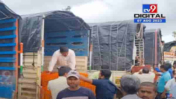 टोमॅटो उत्पादक शेतकऱ्याला कुठं आलेत ‘अच्छे दिन’?, आतापर्यंतचा उच्चांकी बाजारभाव