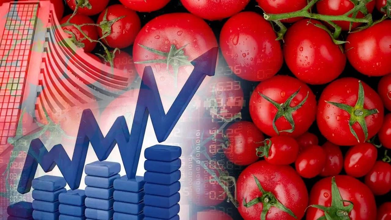 Tomato Share Market : पैसाच पैसा! टोमॅटोपेक्षा स्वस्त शेअरमुळे कमाई