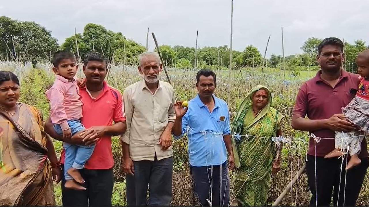 Success Story : दीड लाखांचा खर्च, ४० लाख रुपयांचे उत्पन्न, शेतकरी झाला मालामाल