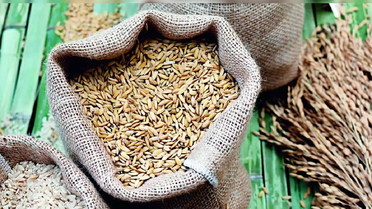 Wheat Price Hike : तांदळानंतर आता गव्हाची दरवाढ, किंमती सहा महिन्यांच्या उच्चांकावर
