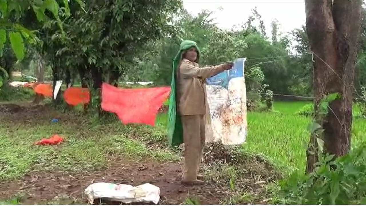 कोल्हापूर जिल्ह्यातील पन्हाळा तालुक्यातल्या पोहाळे परिसरातील शेतात गव्याच्या कळपांचा वावर वाढला आहे. त्यामुळे भातासह ऊस पिकाचं मोठं नुकसान होत आहे.