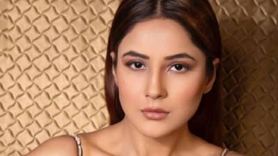 Video | शहनाज गिल हिच्या लूकवर चाहते फिदा, ग्रीन ड्रेसमध्ये अभिनेत्रीचा जलवा, चाहते थेट म्हणाले...