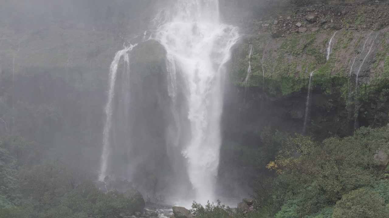  जिल्ह्याच्या पश्चिमेला असलेला भारतातील सर्वात उंच भांबवली वजराई धबधबा सुद्धा ओसंडून वाहू लागला आहे. 