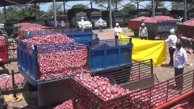 Onion Market Rate : या महिन्यात कांद्याचा दर दुप्पट होण्याची शक्यता