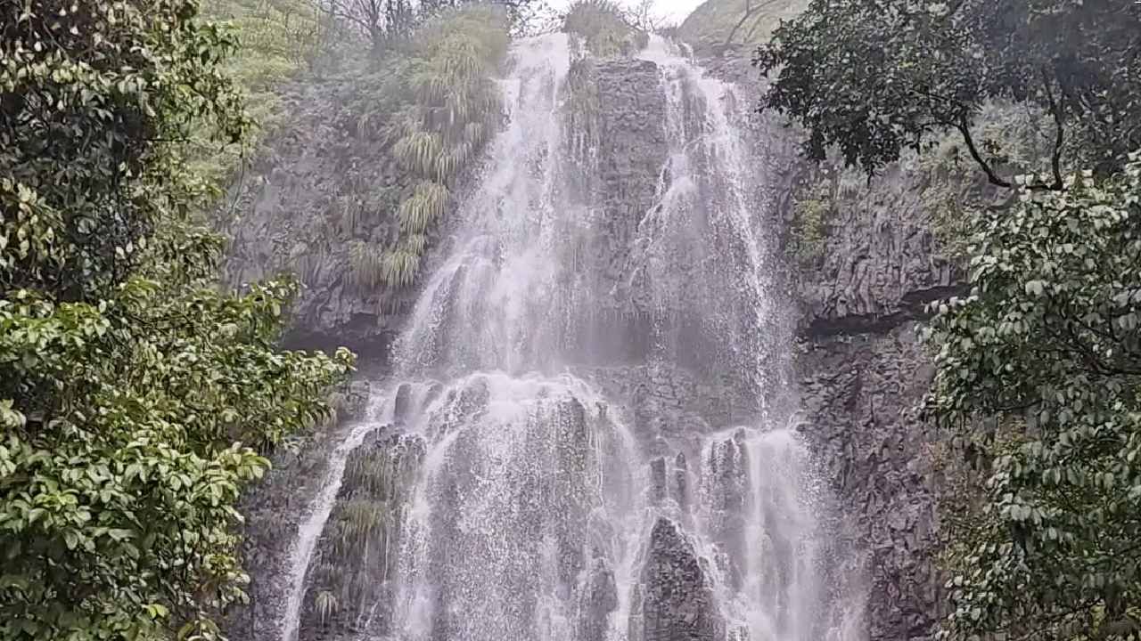  सलग आलेल्या सुट्ट्यांमुळं वर्षा पर्यटनासाठी प्रसिद्ध असलेल्या आंबोलीत पर्यटकांची मोठी गर्दी झाली आहे. पुढचे काही दिवस अधिक गर्दी होण्याची शक्यता असल्यामुळं तिथं पोलिस बंदोबस्त ठेवण्यात आला आहे. 