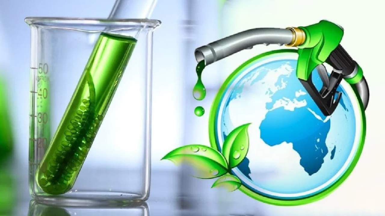 Biofuel : काय असतो बायोफ्यूल, आपल्याला ग्लोबल वार्मिंगपासून कसा वाचवतो?