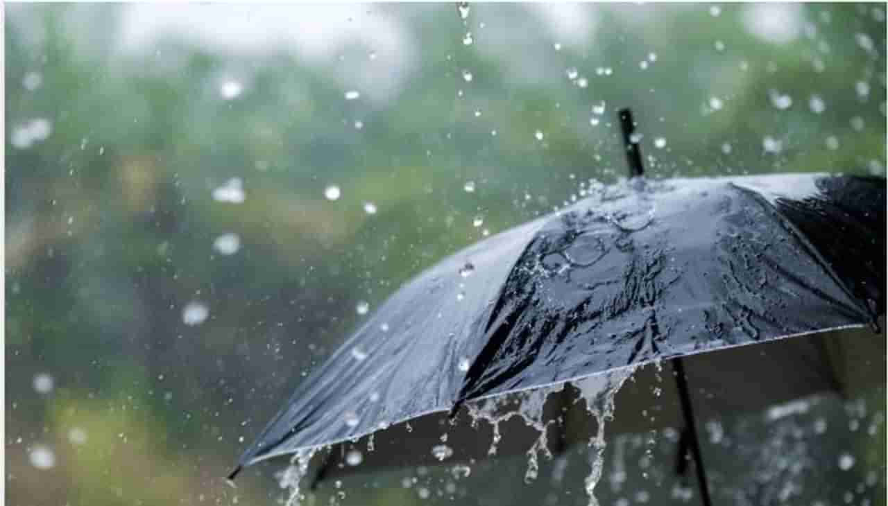 Rain : राज्यात चिंता वाढवणारी बातमी, पुढील पाच दिवस पाऊस नाही, काय आहे आयएमडीचा अंदाज