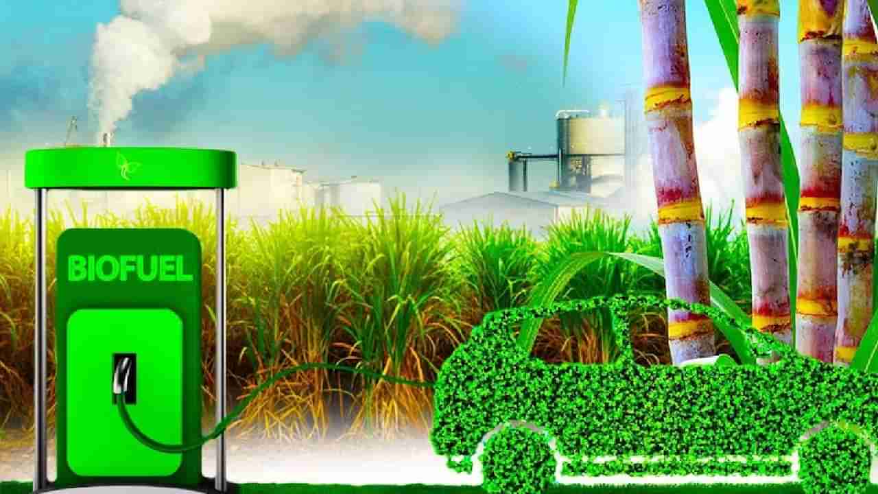 Ethanol Fueled Car : एक शंका होती, आमची जुनी कार पण धावेल का हो इथेनॉलवर?