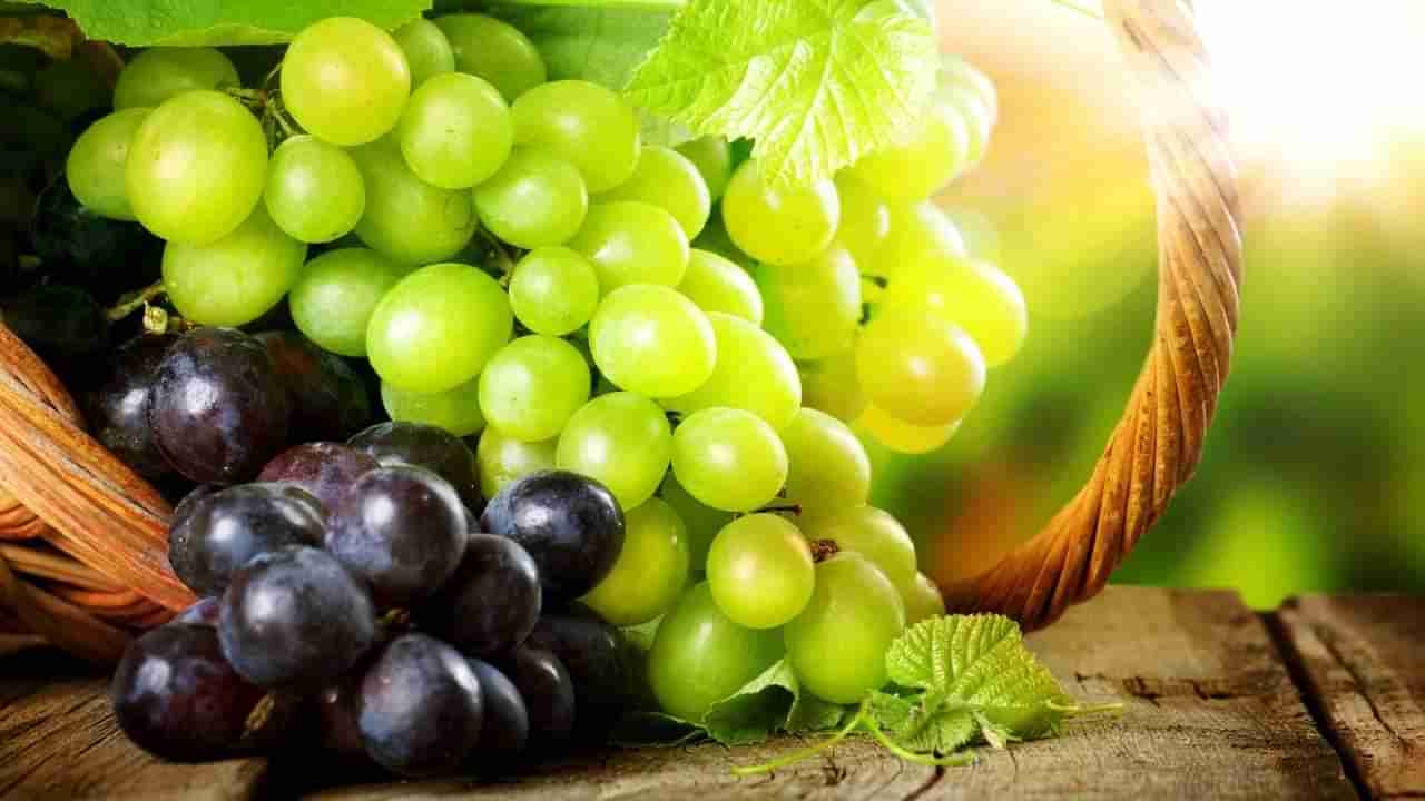 Grapes | या 5 रोगांपासून तुम्हाला दूर ठेवतील द्राक्षे! आरोग्यासाठी अनेक फायदे...