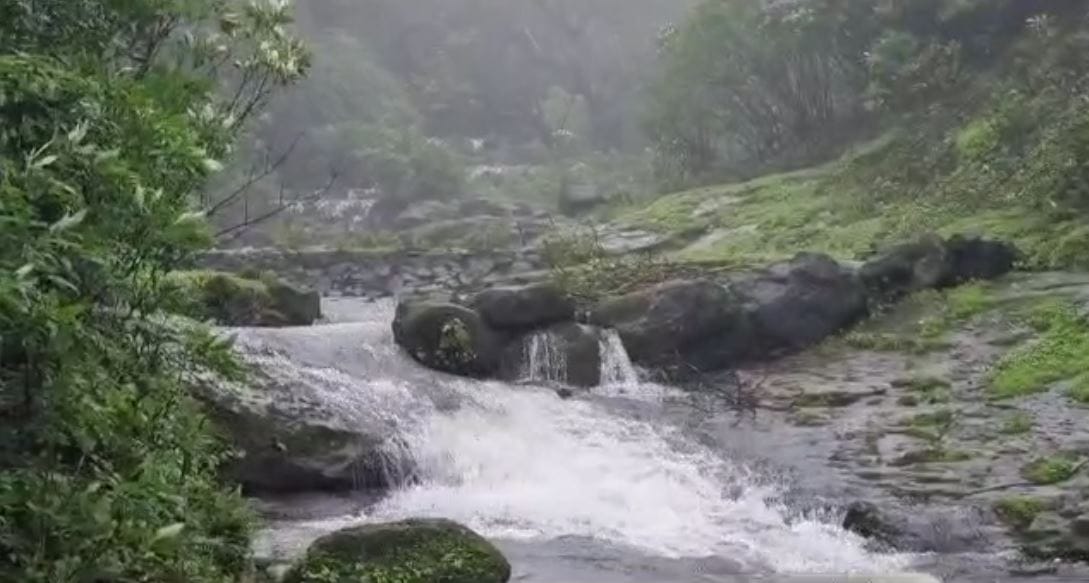 पुणे जिल्ह्यात यंदा पाऊस कमी झाला आहे. परंतु घाटमाथ्यावर चांगला पाऊस झाला आहे. यामुळे परिसरात असलेले धबधबे प्रवाहित झाले आहे. हे धबधबे पाहण्यासाठी पर्यटक मोठ्या संख्येने येत आहेत.