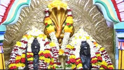 शिराळ्यात प्रतीमा पूजन करून नागपंचमी साजरी; नागरिकांनी केली होती ही मागणी