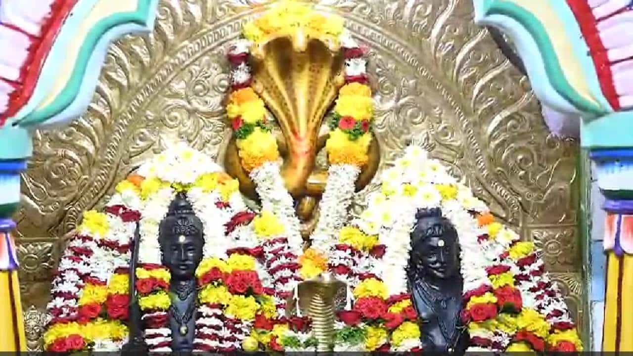 शिराळ्यात प्रतीमा पूजन करून नागपंचमी साजरी; नागरिकांनी केली होती ही मागणी