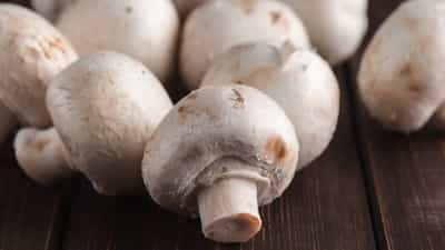 मटणापेक्षाही मशरूम महाग! मशरूम विक्रीतून विक्रेत्यांला ‘अच्छे दिन’, किती मिळतोय मशरूमला भाव?