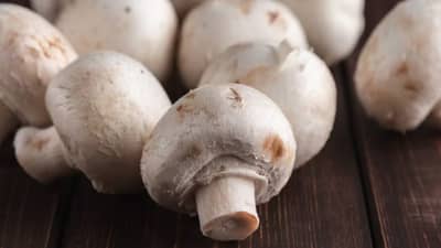 मटणापेक्षाही मशरूम महाग! मशरूम विक्रीतून विक्रेत्यांला ‘अच्छे दिन’, किती मिळतोय मशरूमला भाव?