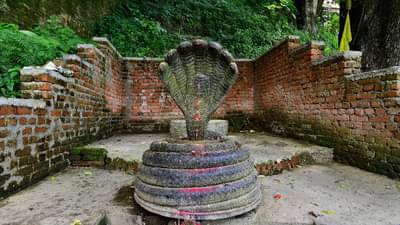 Nag Panchami 2023 : जीवनात समस्यांचा डोंगर उभा करतो कालसर्प योग, उद्या नागपंचमीला अवश्य करा हे उपाय