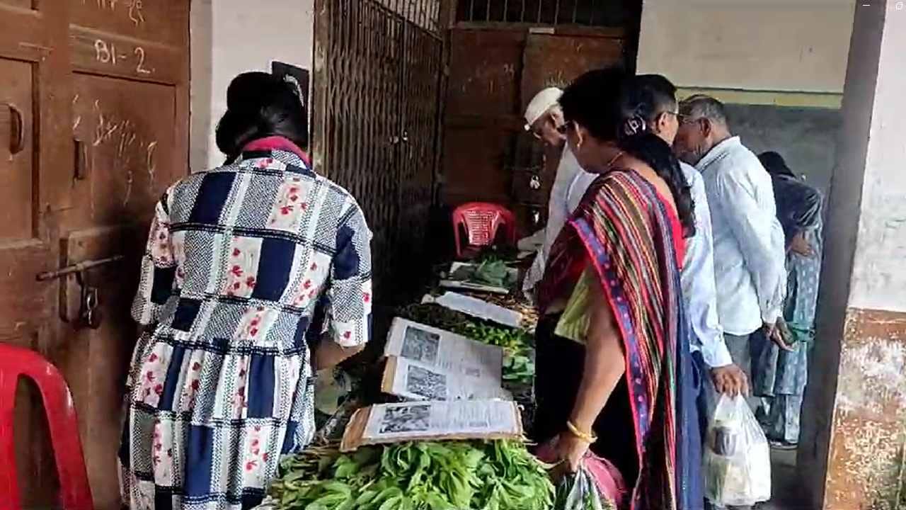 त्यामुळे रानभाज्यांचे महत्त्व व त्या बनवण्याची पद्धत याबाबत या महोत्सवात मार्गदर्शन देखील करण्यात आले आहे. तसेच महिलांसाठी रानभाज्या पाककलेचे देखील आयोजन करण्यात आले होते. 