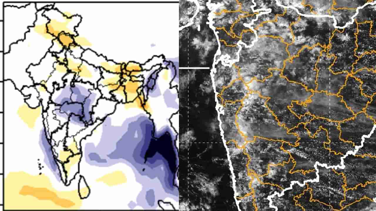 Rain Update : राज्यात पाऊस पुन्हा कधी परतणार? हवामान विभागाने दिले अपडेट