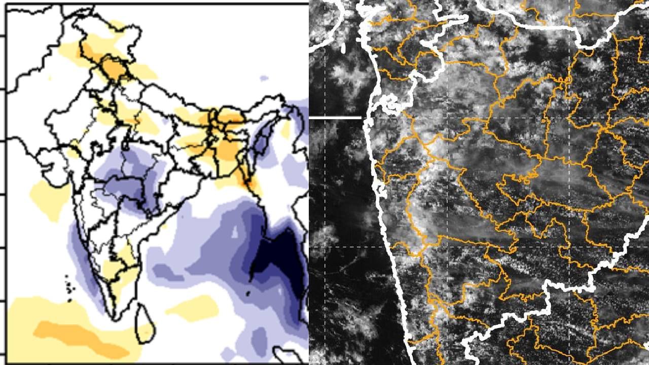 Rain Update : राज्यात पाऊस पुन्हा कधी परतणार? हवामान विभागाने दिले अपडेट