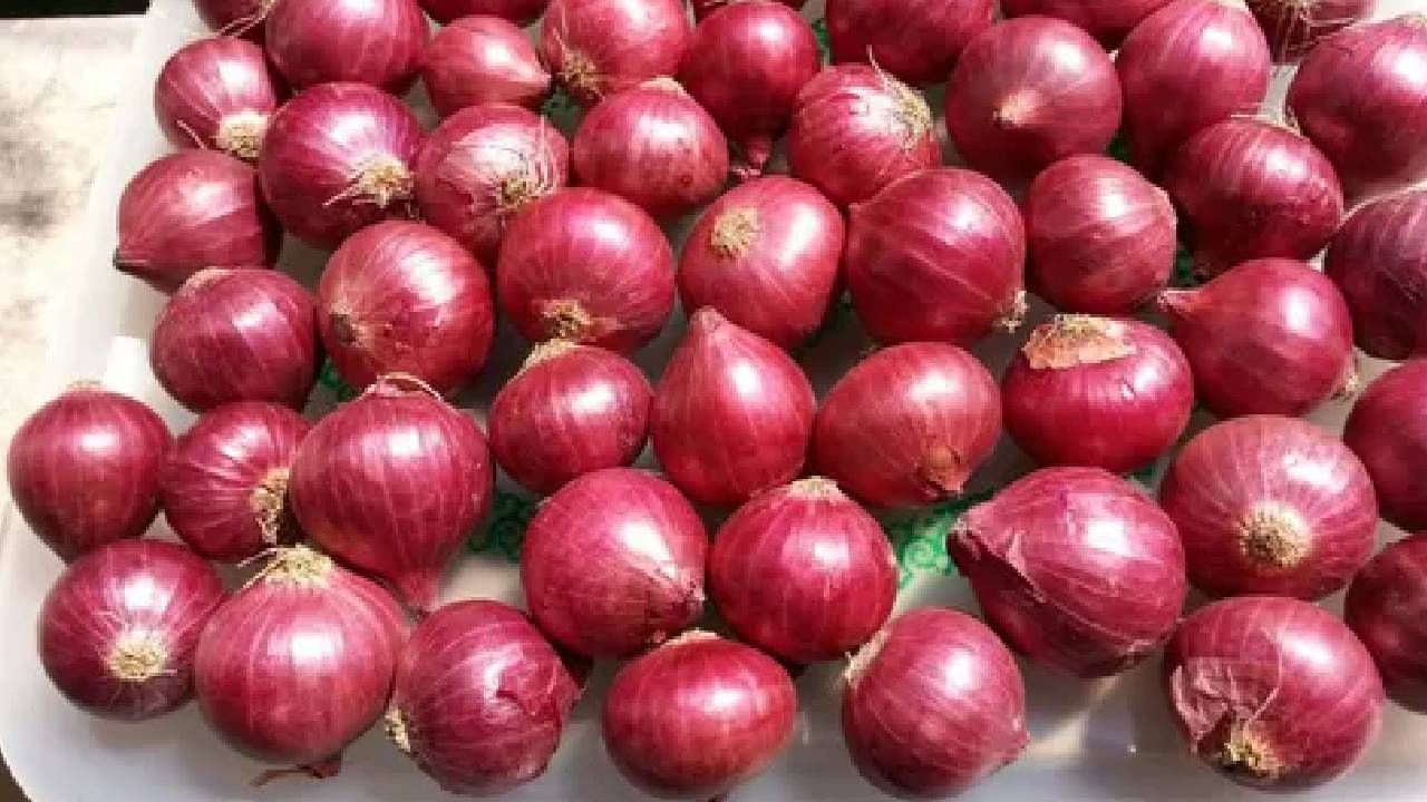Onion Price : टोमॅटोनंतर आता केंद्र सरकार विकणार स्वस्तात कांदा, असा असेल एक किलोचा भाव