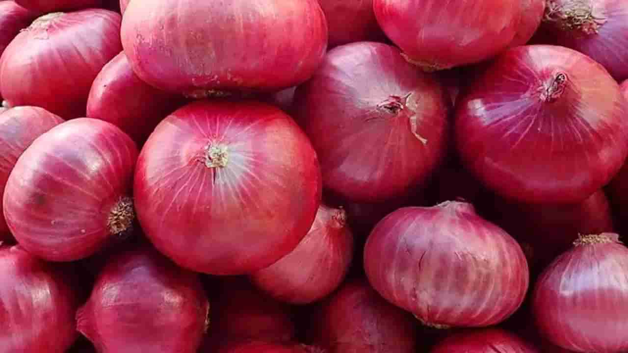 Onion Price : कांद्या करणार वांधे! पुढील महिन्यात असा कापल्या जाणार खिसा