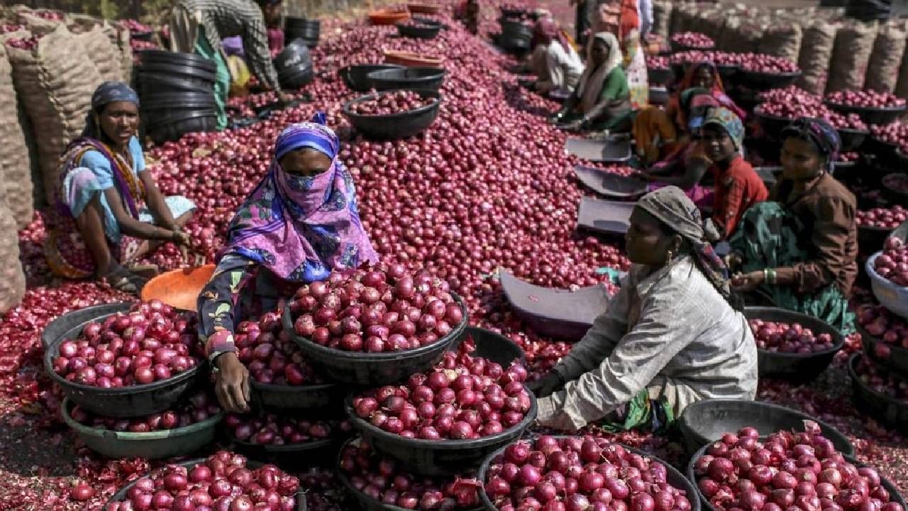 Maharashtra Marathi News LIVE | कांदा उत्पादक शेतकऱ्यांसाठी मोठी बातमी, नाशिक जिल्ह्यातील 17 बाजार समित्यांमध्ये कांद्याचे लिलाव पुन्हा बेमुदत बंद