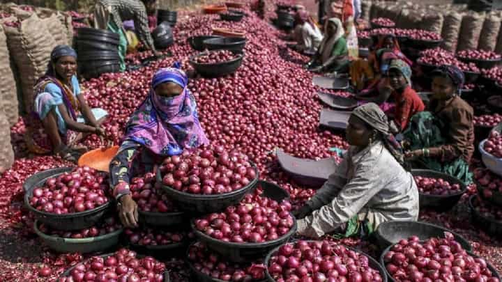 Nashik मधील बाजार समित्यांमध्ये आजपासून कांदा लिलाव बंद, काय आहे कारण? Nashik मधील बाजार समित्यांमध्ये आजपासून कांदा लिलाव बंद, काय आहे कारण?